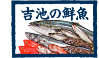 吉池の鮮魚