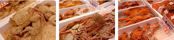 鮮魚市場写真