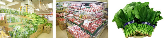 食品フロア写真