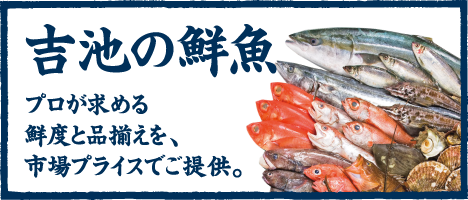 吉池の鮮魚